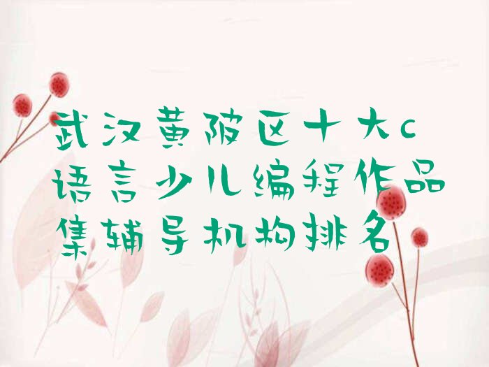 十大武汉黄陂区十大c语言少儿编程作品集辅导机构排名排行榜