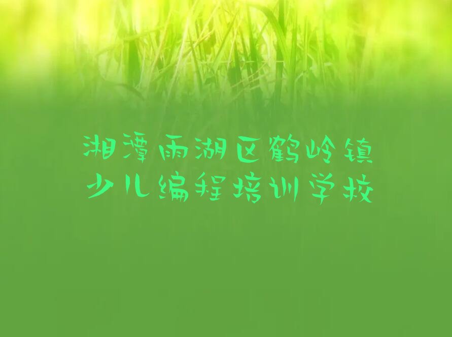 小孩编程