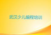 武汉武昌区少儿编程培训班排名前十