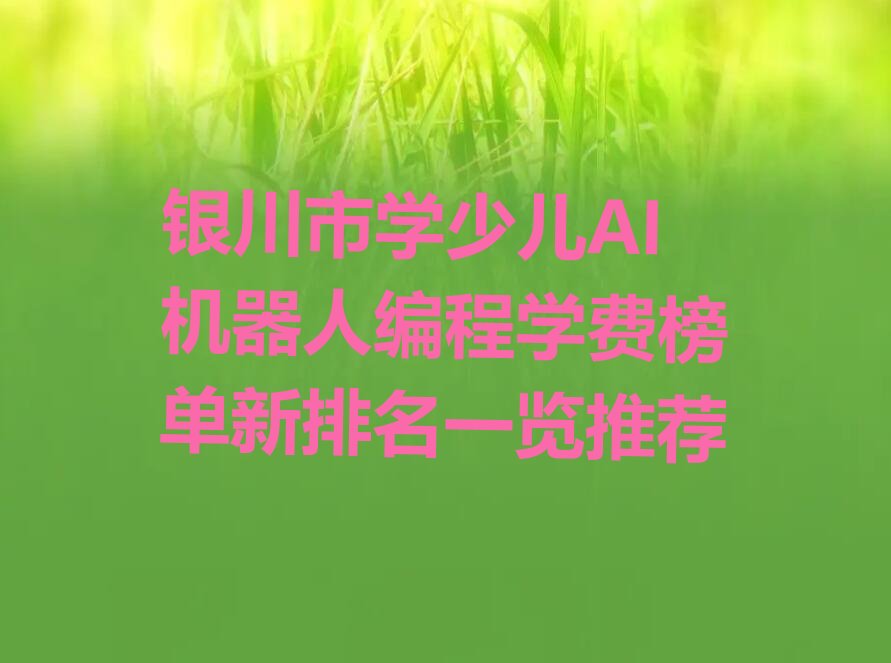 银川金凤区少儿AI机器人编程培训学校