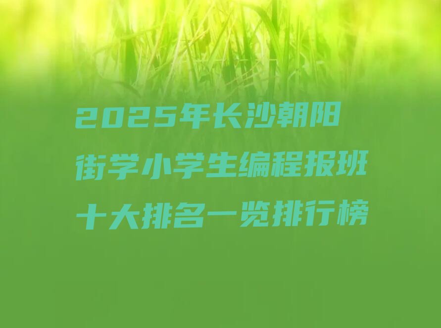 长沙芙蓉区少儿编程培训