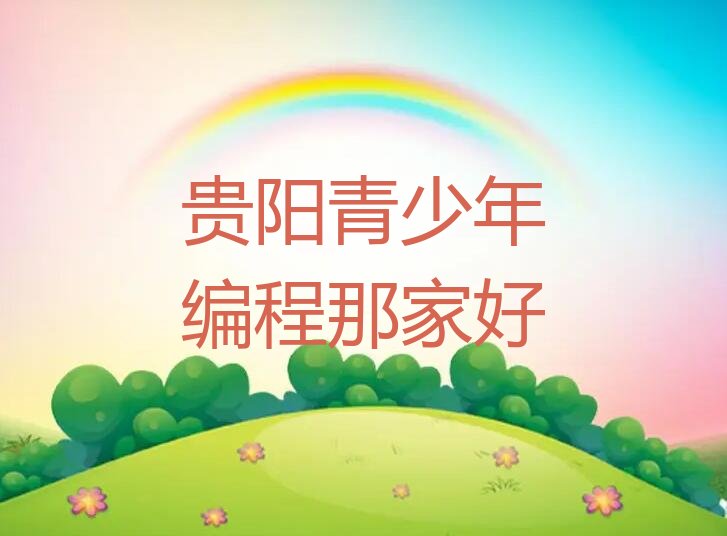十大贵阳青少年编程那家好排行榜