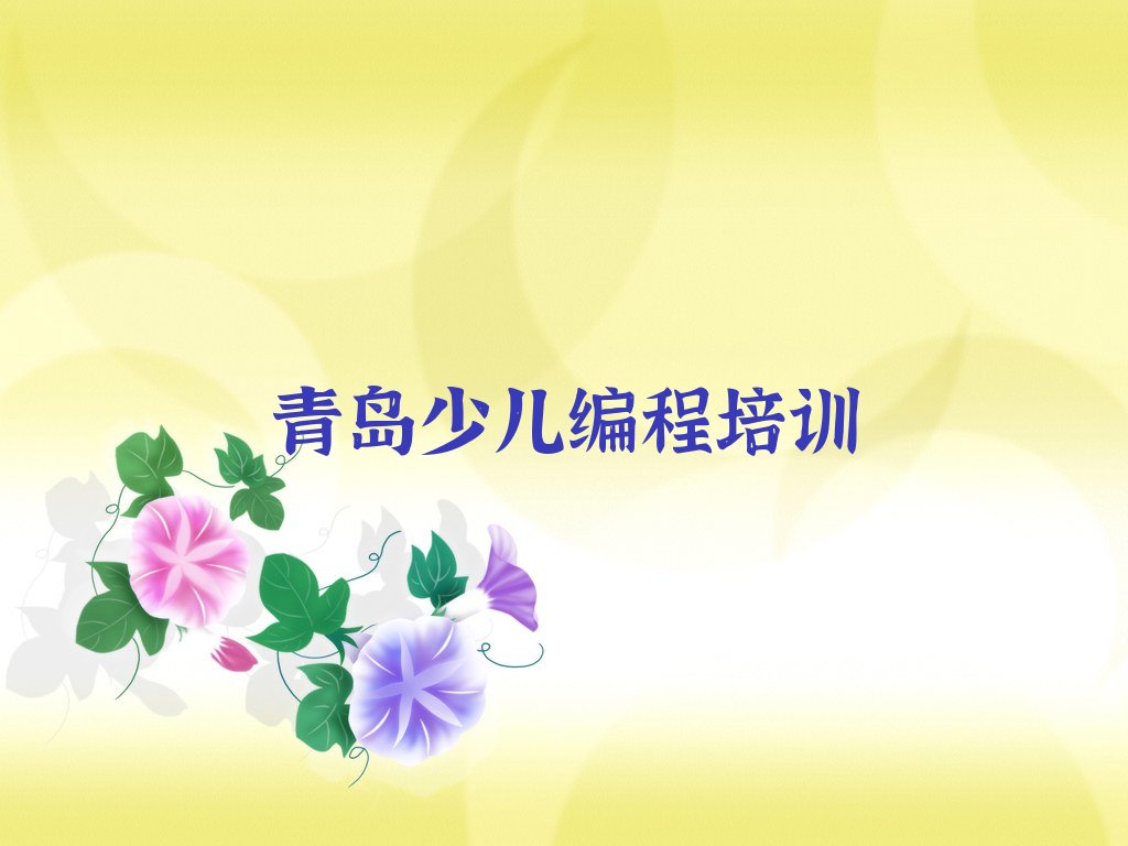 青岛市南区八大峡街道少儿编程Python培训学校