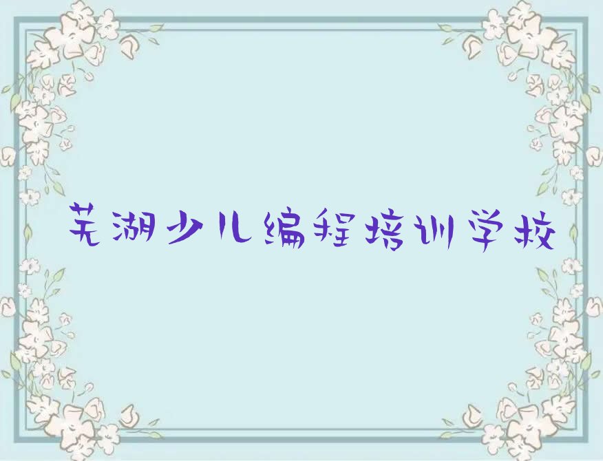 芜湖少儿编程培训学校