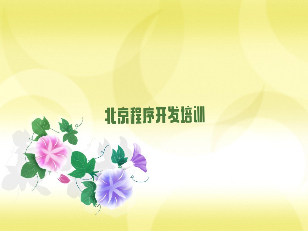 北京朝阳区太阳宫中学生Python编程培训学校