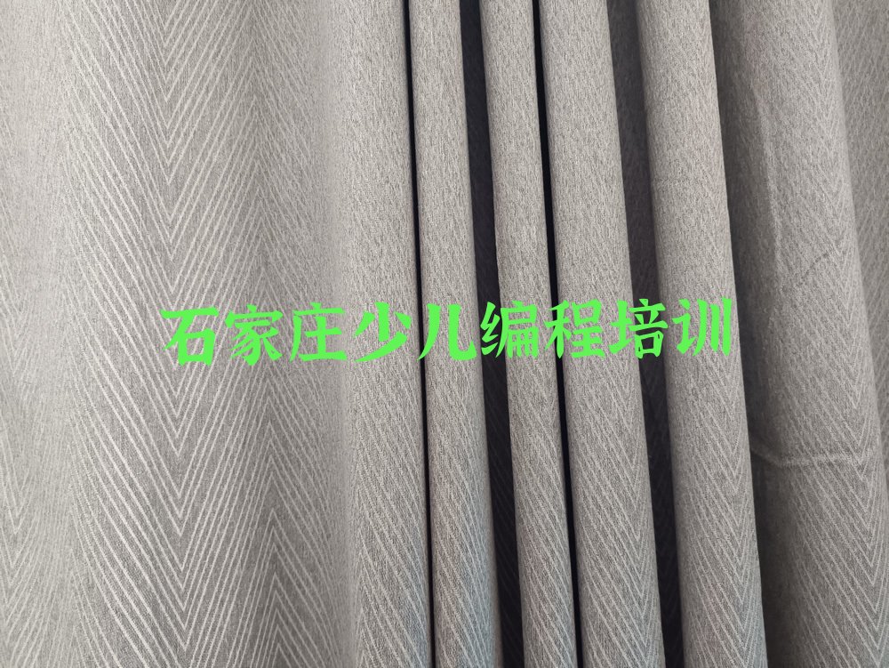 十大2025石家庄有孩子编程学吗排名名单一览排行榜排行榜
