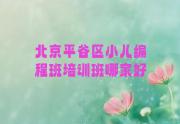 北京平谷区小儿编程班培训班哪家好