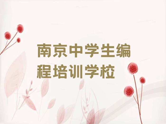 南京中学生编程培训学校