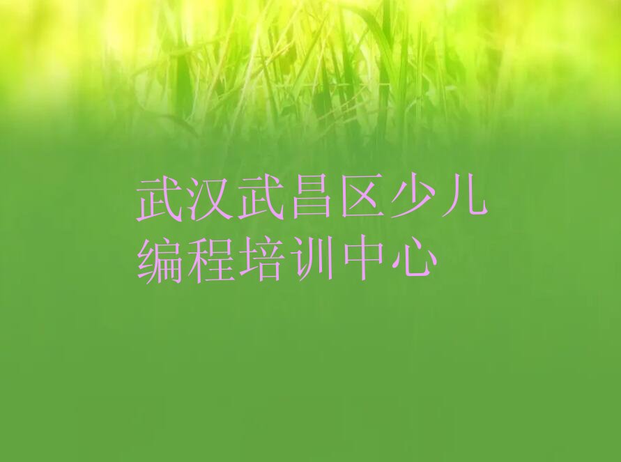 十大武汉武昌区幼儿编程找幼儿编程培训学校需要注意什么排行榜