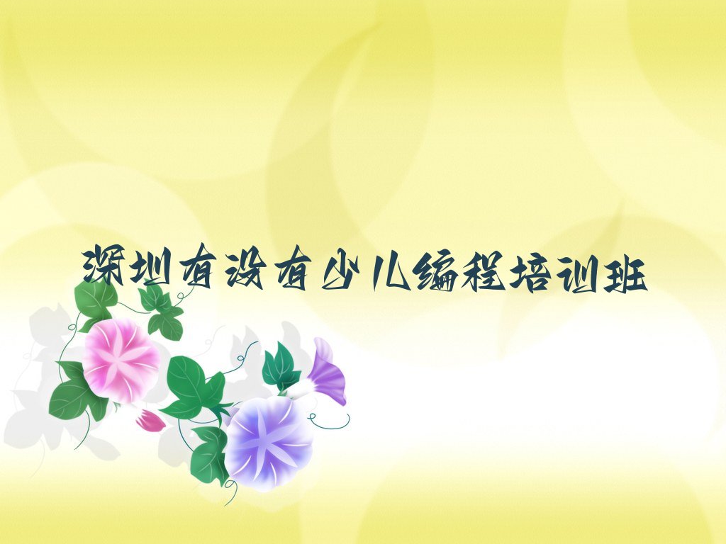 深圳宝安区新桥街道少儿编程培训学校
