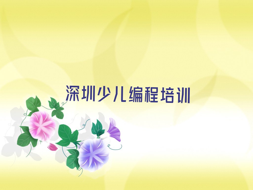 深圳宝安区新桥街道少儿编程培训学校