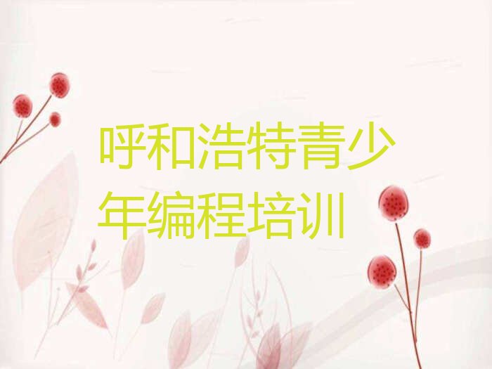 呼和浩特青少年编程培训学校