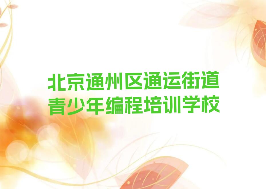 北京通州区通运街道青少年编程培训学校