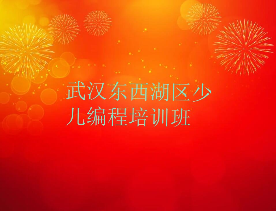 武汉东西湖区少儿编程培训班