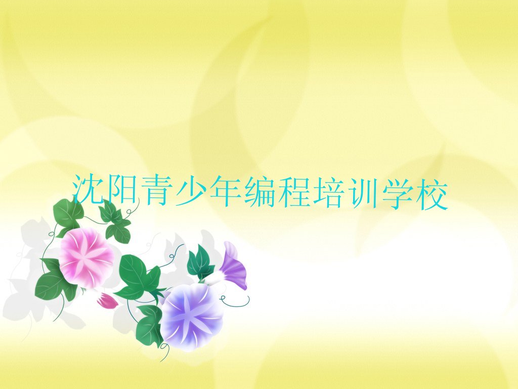 沈阳青少年编程培训学校