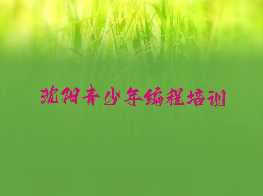 青少年编程