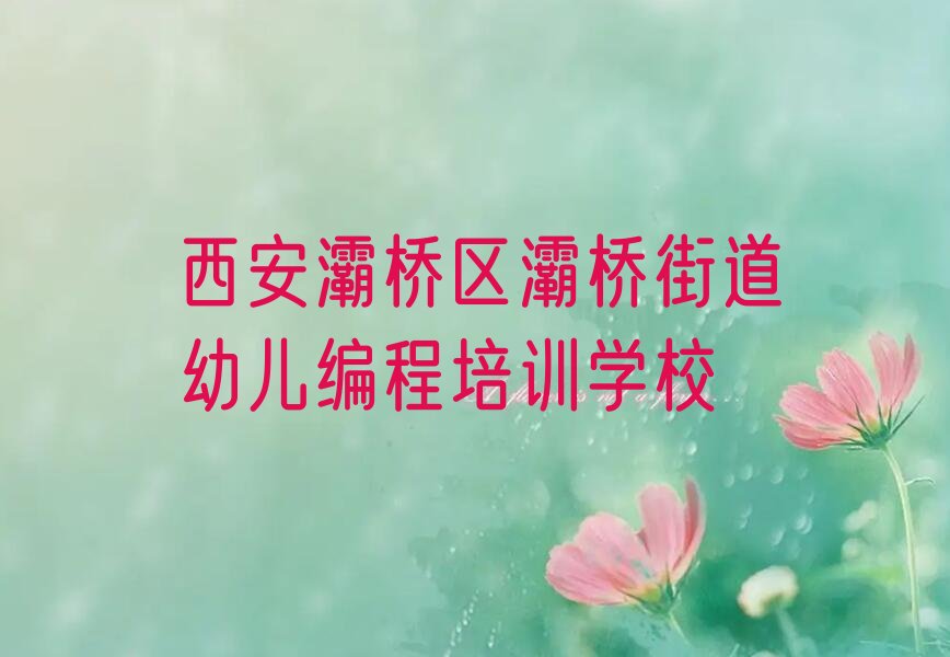 西安灞桥区灞桥街道幼儿编程培训学校