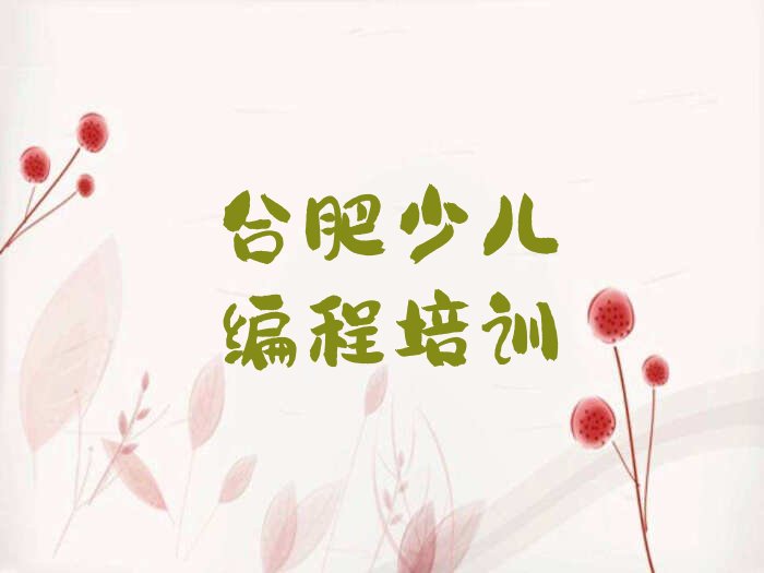 合肥庐阳区少儿编程培训学校
