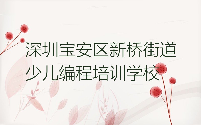深圳宝安区新桥街道少儿编程培训学校
