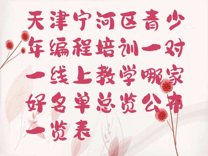 十大天津宁河区青少年编程培训一对一线上教学哪家好名单总览公布一览表排行榜