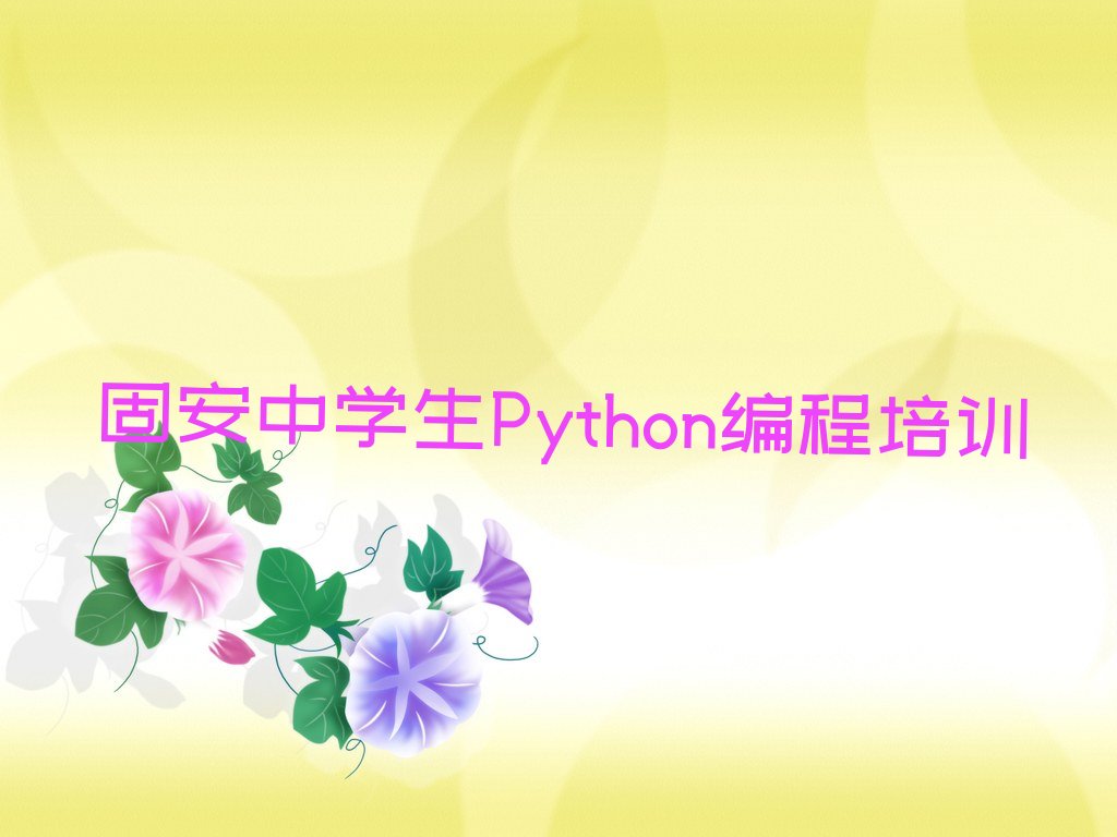 固安新洲区中学生Python编程培训学校
