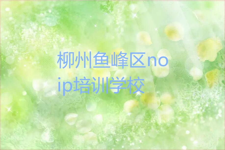 柳州鱼峰区noip培训学校