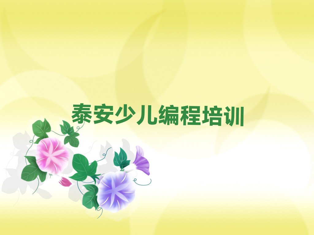 泰安泰山区少儿编程培训