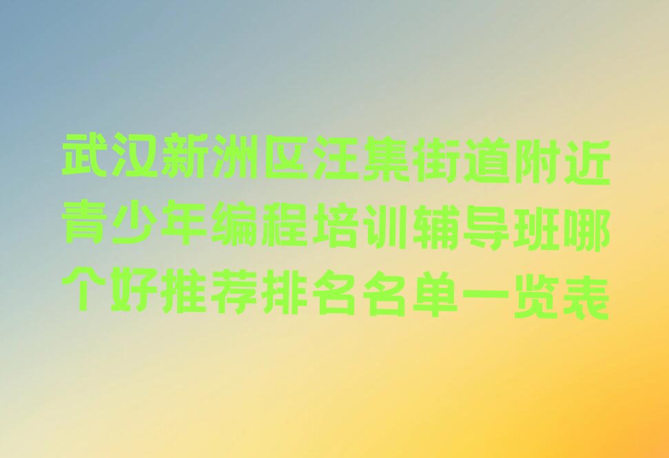 武汉新洲区汪集街道少儿编程培训学校