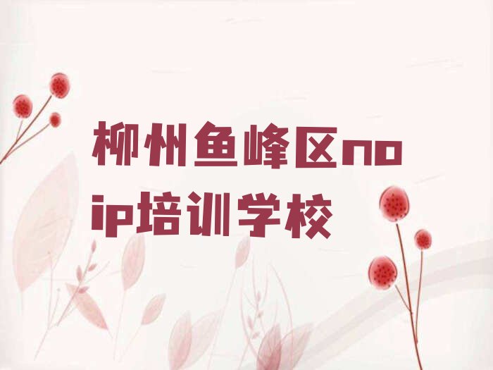 柳州鱼峰区noip培训学校