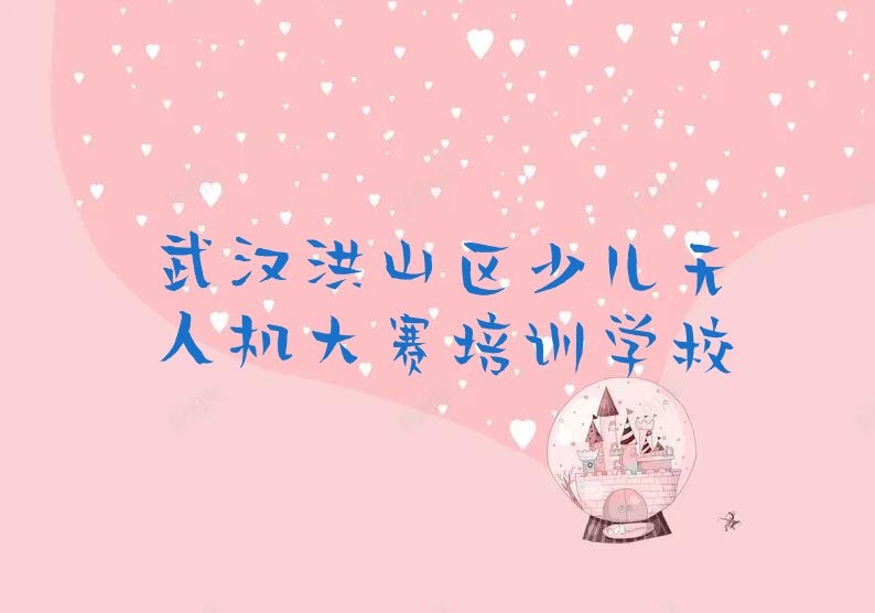 十大武汉附近少儿无人机大赛培训排行榜