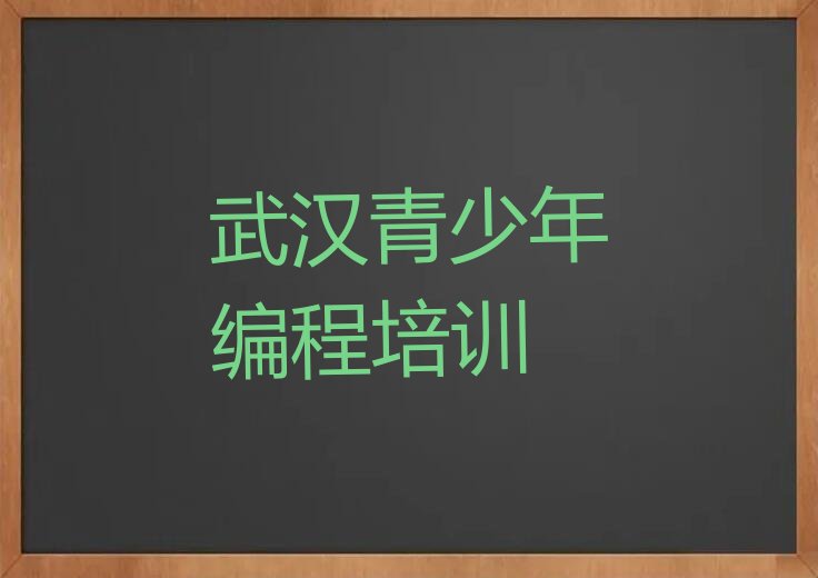 武汉新洲区汪集街道少儿编程培训学校