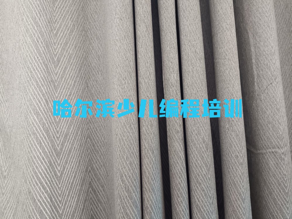 哈尔滨少儿编程培训学校