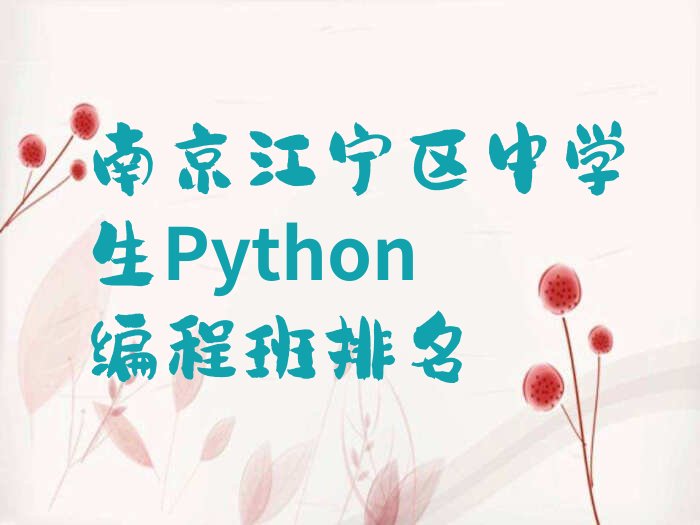 中学生Python编程