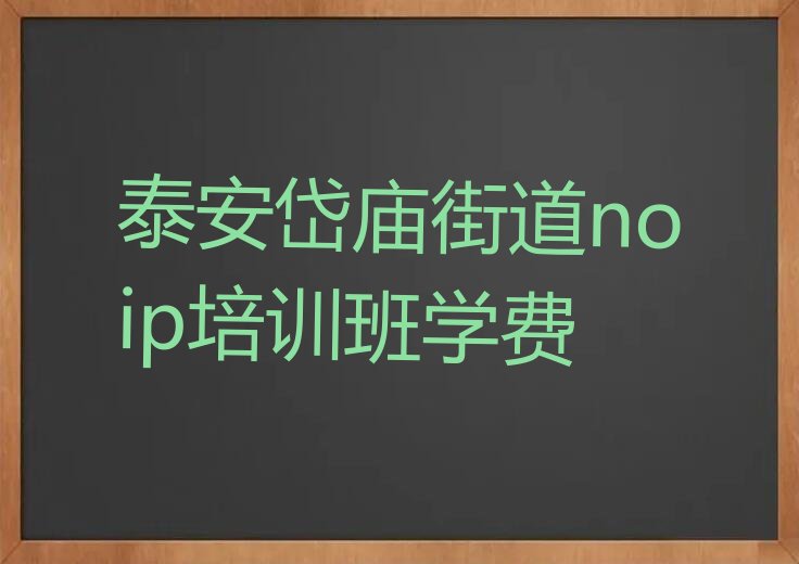 泰安泰山区岱庙街道noip培训学校