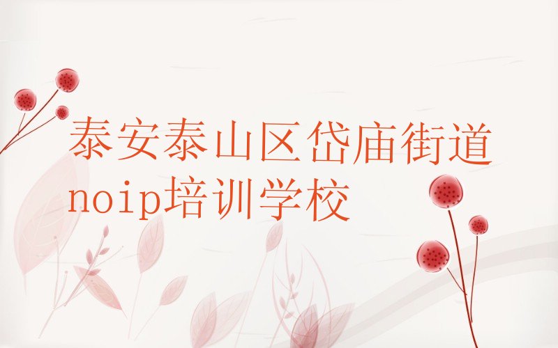 泰安泰山区岱庙街道noip培训学校
