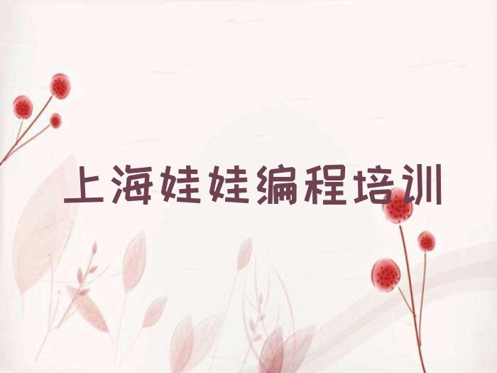 上海青浦区少儿编程培训