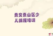 泰安泰山区哪有学幼儿编程的培训机构名单总览公布一览表