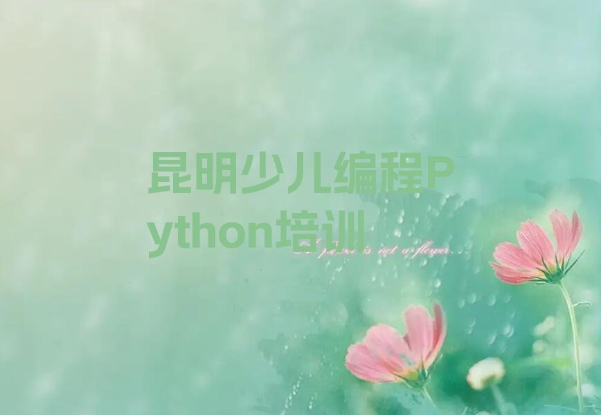 十大2025年昆明盘龙区少儿编程Python培训收费价格表名单总览公布一览表排行榜