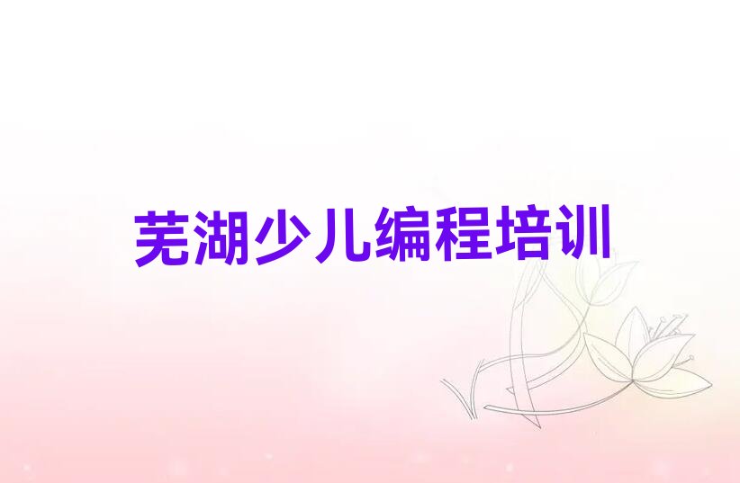 芜湖弋江区少儿编程培训中心