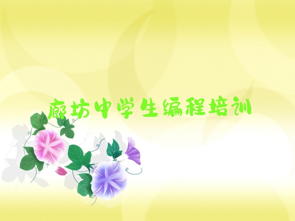 廊坊广阳区中学生编程培训学校