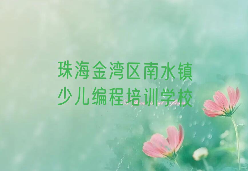 珠海金湾区南水镇少儿编程培训学校