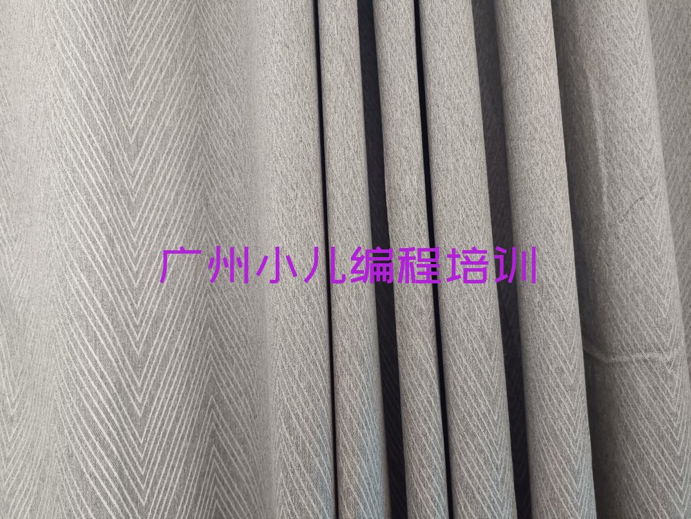 十大广州增城区小儿编程学校培训哪里好排行榜