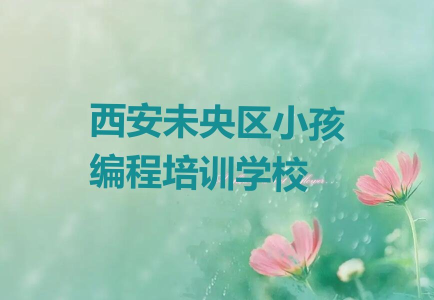 西安未央区小孩编程培训学校