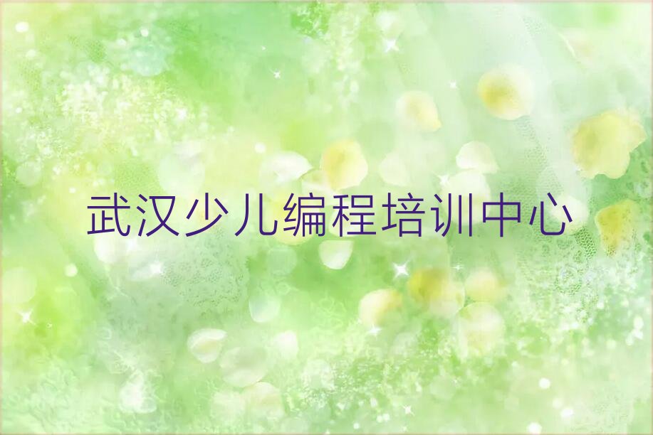 武汉少儿编程培训中心