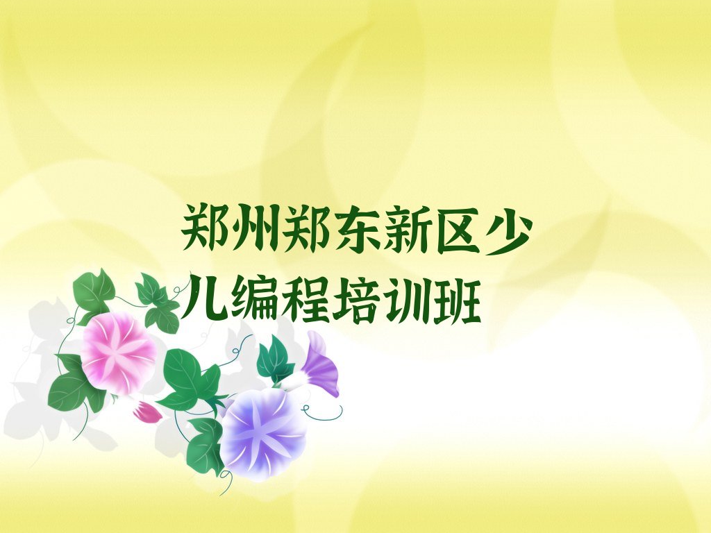 郑州郑东新区少儿编程培训班