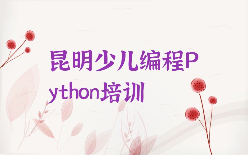 昆明盘龙区松华街道少儿编程培训学校