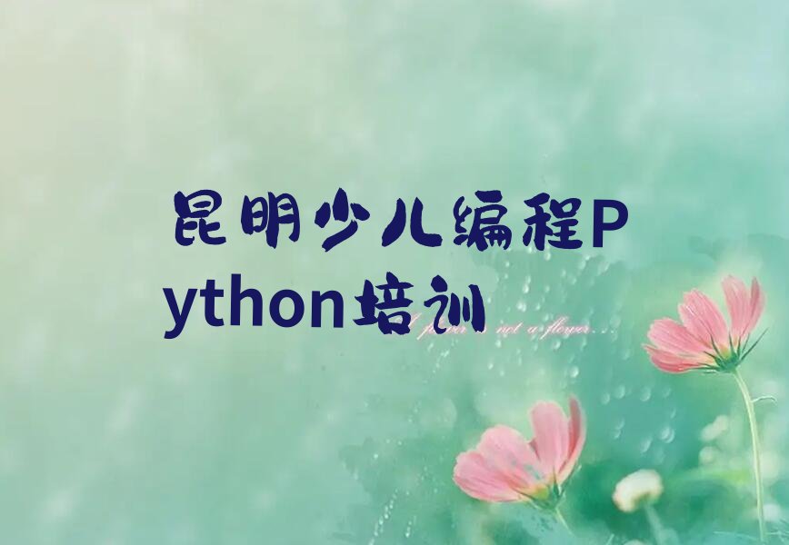 昆明呈贡区少儿编程培训班