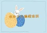 长沙雨花区少儿编程长沙线下培训班一般几个月