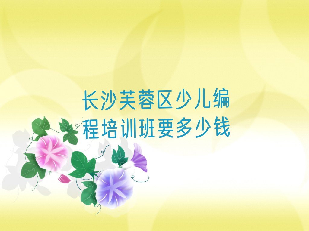 长沙少儿编程培训班