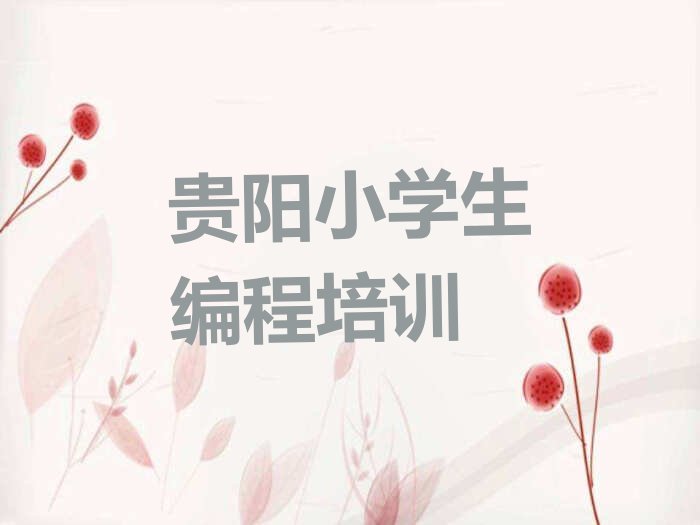 贵阳云岩区宅吉社区服务中心小学生编程培训学校